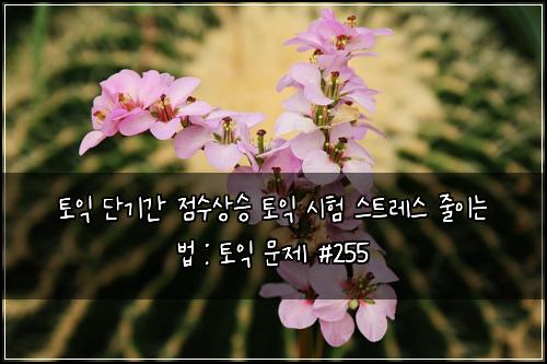 ํ ์ต ๋จ๊ธฐ๊ฐ ์ ์์์น ํ ์ต ์ํ ์คํธ๋ ์ค ์ค์ด๋ ๋ฒ : ํ ์ต ๋ฌธ์ #255