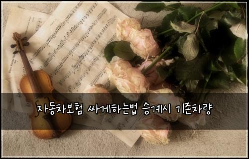 ์๋์ฐจ๋ณดํ ์ธ๊ฒํ๋๋ฒ ์น๊ณ์ ๊ธฐ์กด์ฐจ๋