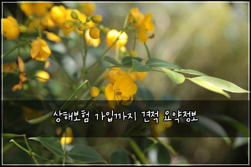 ์ํด๋ณดํ ๊ฐ์
๊น์ง ๊ฒฌ์ ์์ฝ์ ๋ณด