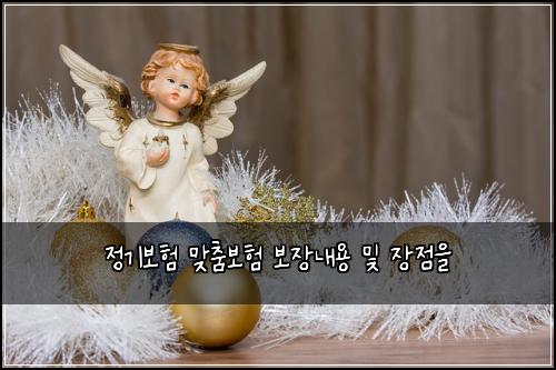 정기보험 맞춤보험  보장내용 및 장점을