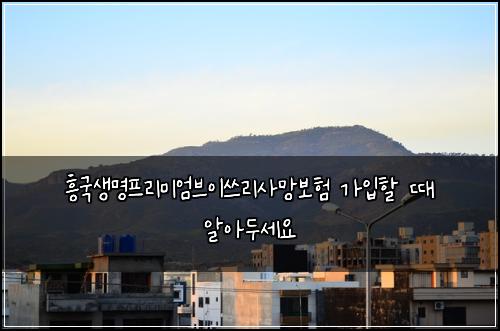 흥국생명프리미엄브이쓰리사망보험 가입할 때 알아두세요
