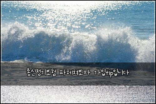 종신정기보험 파헤쳐보자  가입tip입니다