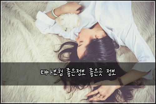 태아보험 좋은정보  좋은곳 정보