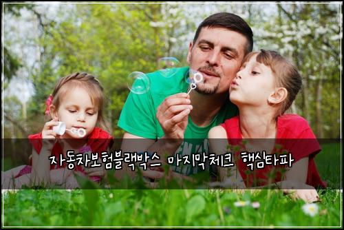 ์๋์ฐจ๋ณดํ๋ธ๋๋ฐ์ค ๋ง์ง๋ง์ฒดํฌ ํต์ฌํํ