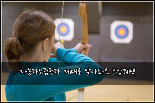 자동차보험첫차 제대로 알아봐요 보상혜택