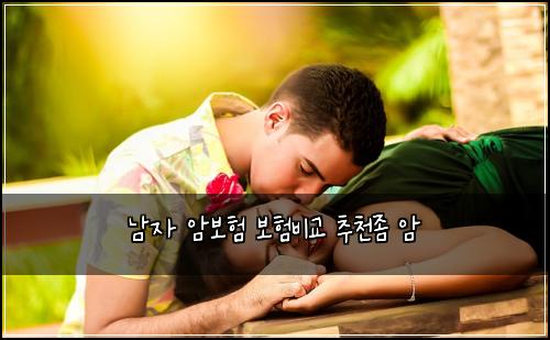 ๋จ์ ์๋ณดํ ๋ณดํ๋น๊ต ์ถ์ฒ์ข ์