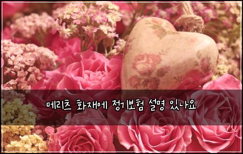 메리츠 화재에 정기보험 설명  있나요