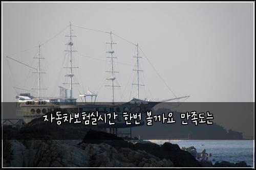 μλ차보νμ€μκ° νλ² λ³ΌκΉμ λ§μ‘±λλ