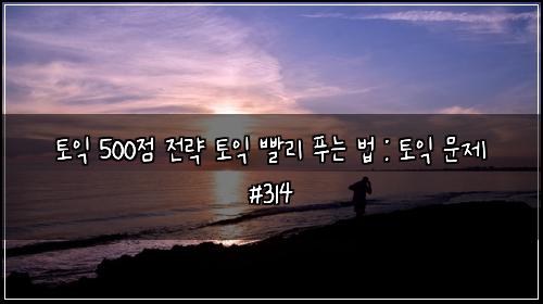 토익 500점 전략 토익 빨리 푸는 법 : 토익 문제 #314