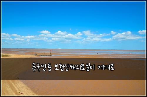 흥국쌍용 보험상해의료실비 제대로