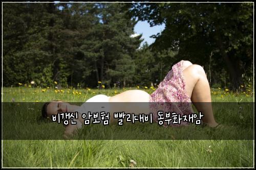 ๋น๊ฐฑ์ ์๋ณดํ ๋นจ๋ฆฌ๋๋น ๋๋ถํ์ฌ์