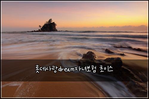 롯데사랑dream자녀보험 초이스 