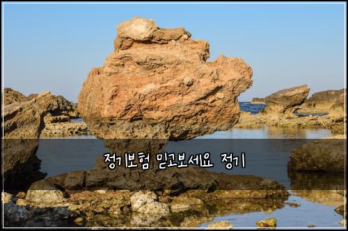 정기보험 믿고보세요  정기