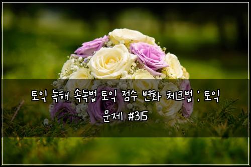 ν μ΅ λ
ν΄ μλ
λ² ν μ΅ μ μ λ³ν 체ν¬λ² : ν μ΅ λ¬Έμ #315