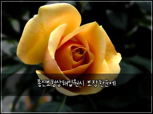 ์ข
์ ๋ณดํ์ํด์
์์ ๋ณด์ฅํ๋์