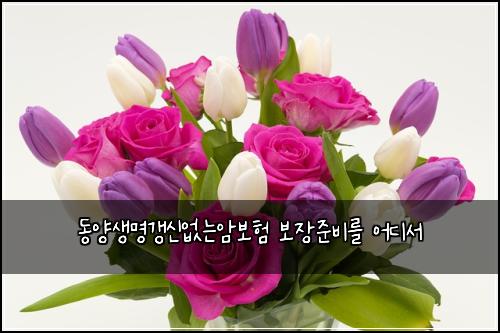 동양생명갱신없는암보험 보장준비를  어디서