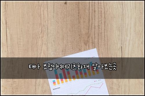 태아 보험이여메리츠화재 알아보는곳