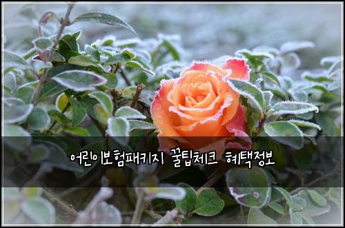 ์ด๋ฆฐ์ด๋ณดํํจํค์ง ๊ฟํ์ฒดํฌ ํํ์ ๋ณด