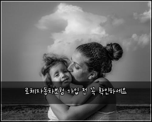 로체자동차보험 가입 전 꼭 확인하세요
