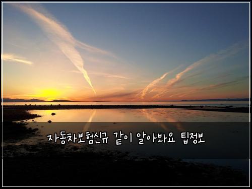 μλ차보νμ κ· κ°μ΄ μμλ΄μ νμ 보