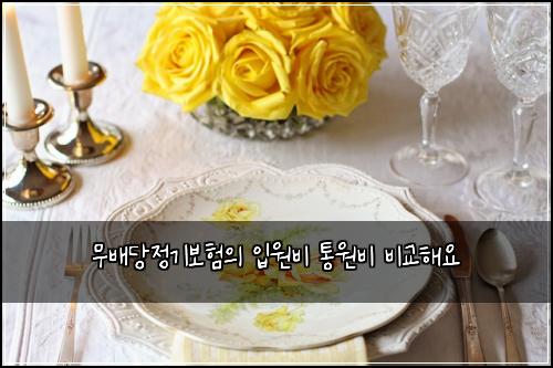 무배당정기보험의 입원비 통원비 비교해요