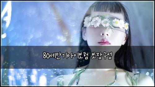80์ธ๋ง๊ธฐ์์ด๋ณดํ ๋ณด์ฅ๊ตฌ์ฑ