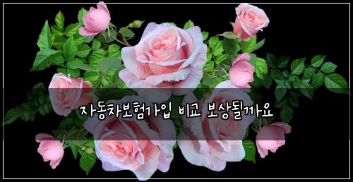 자동차보험가입 비교 보상될까요