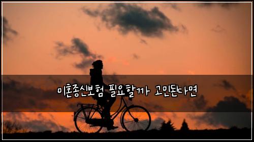 미혼종신보험 필요할까 고민된다면