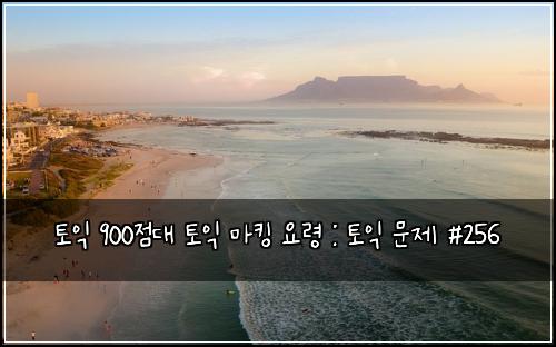 토익 900점대 토익 마킹 요령 : 토익 문제 #256
