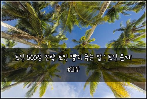 토익 500점 전략 토익 빨리 푸는 법 : 토익 문제 #314