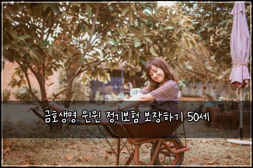 금호생명 윈윈 정기보험 보장하기  50세