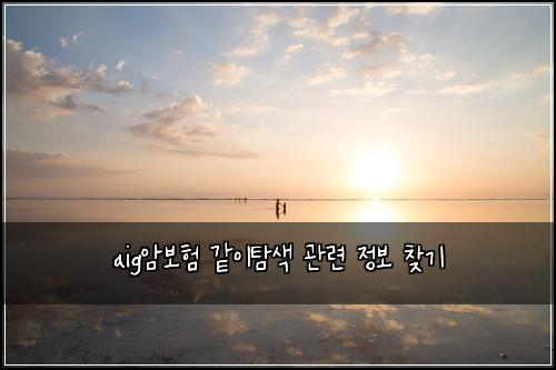 aig암보험 같이탐색  관련 정보 찾기