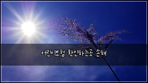 어린이보험 확인하는곳  손해