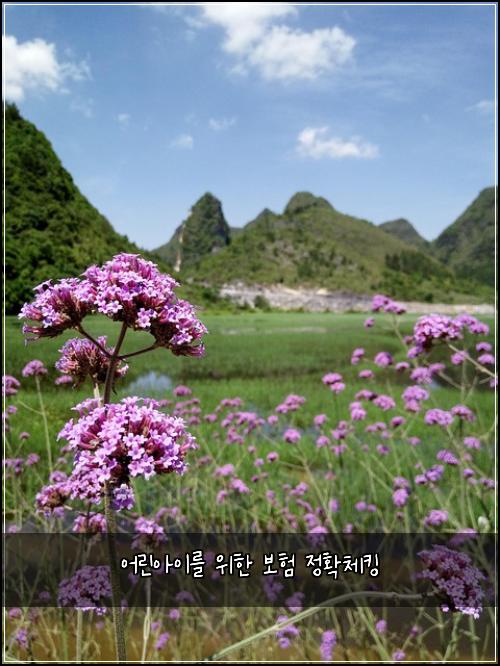 어린아이를 위한 보험 정확체킹 