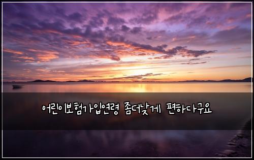 어린이보험가입연령 좀더낮게 편하다구요