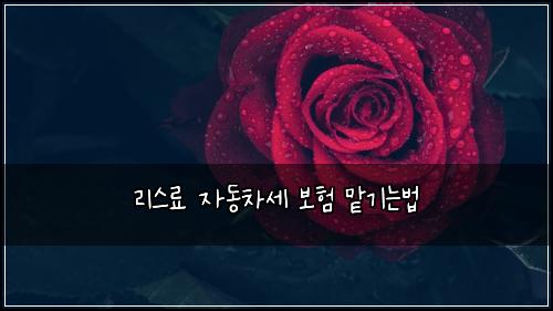 리스료 자동차세 보험 맡기는법 