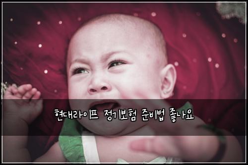 ํ๋๋ผ์ดํ ์ ๊ธฐ๋ณดํ ์ค๋น๋ฒ ์ข๋์