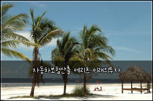 ์๋์ฐจ๋ณดํ์ฐ์ถ ๋ฉ๋ฆฌ์ธ ๋ฏธ๋์ํฌ์