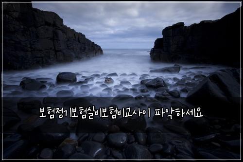 보험정기보험실비보험비교사이 파악하세요