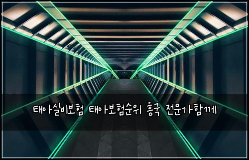 태아실비보험 태아보험순위 흥국 전문가함께