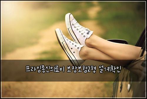 프라임종신의료비 보장보험2형 설계확인