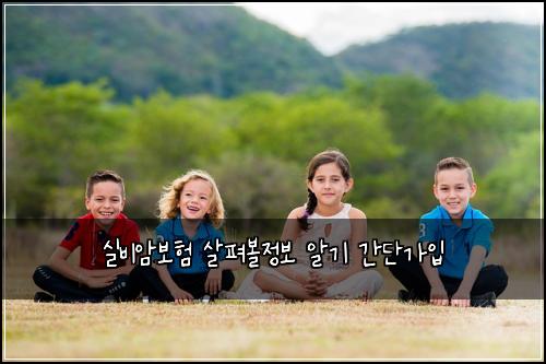 실비암보험 살펴볼정보  알기 간단가입