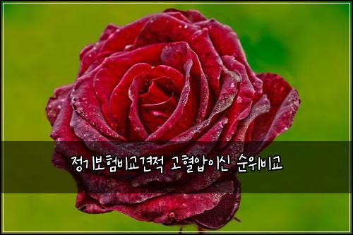 정기보험비교견적 고혈압이신 순위비교