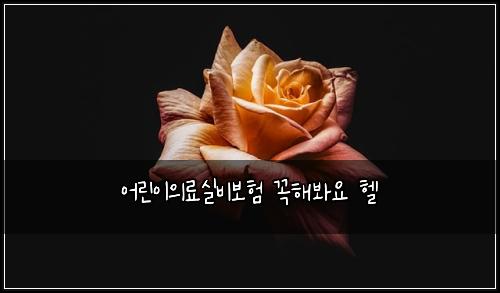 어린이의료실비보험 꼭해봐요  헬