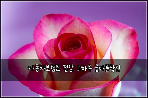 ์๋์ฐจ๋ณดํ๋ฃ ์ ๊ฐ ๋
ธํ์ฐ ์ฌ๋ฐ๋ฅธํ์ธ
