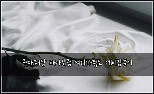 현대해상 태아보험 여기가쵝오  예비맘들이