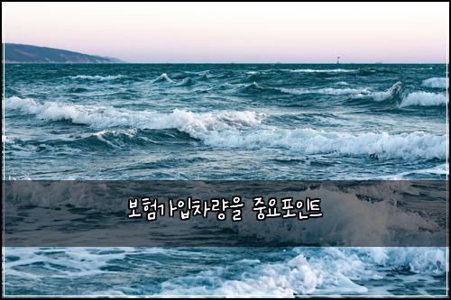 보험가입차량을 중요포인트