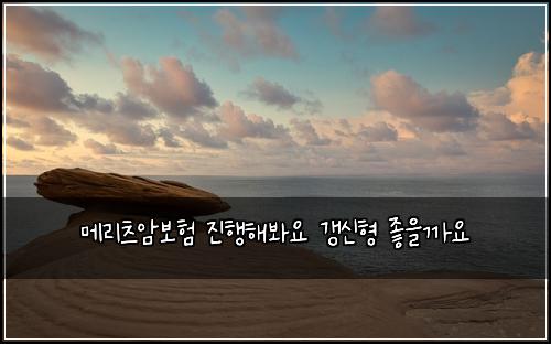 ๋ฉ๋ฆฌ์ธ ์๋ณดํ ์งํํด๋ด์ ๊ฐฑ์ ํ ์ข์๊น์