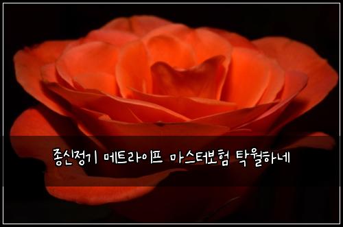 ์ข
์ ์ ๊ธฐ ๋ฉํธ๋ผ์ดํ ๋ง์คํฐ๋ณดํ ํ์ํ๋ค