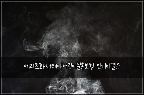 메리츠화재태아어린이실손보험 인기비결은 
